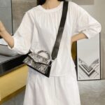 Tracy Sac à main Strass Motif Zèbre - Un accessoire chic pour femmes, à la mode et audacieux.