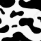Vache